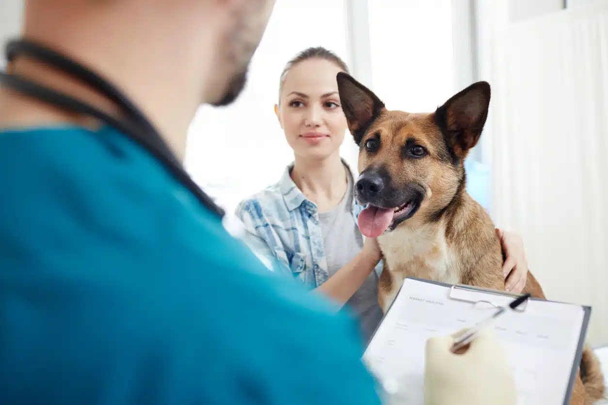 Assurance animaux pour couvrir frais vétérinaires